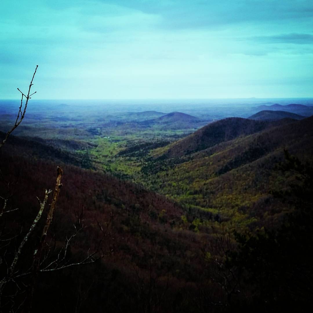 modern_day_mountain_manThe overlook at Wildcat Mountain, GA, 4/10/16. 3,760 ft. A true hundred mile view. That little blue smudge on the southeast side of the horizon is Sawnee Mountain in Cumming. The picture doesn't show it, but I could see the faintest trace of the #Atlanta skyline as well. #mountains #AppalachianTrail2016 #yearofadventure #exploring #backpacking #whiteblazers #optoutside