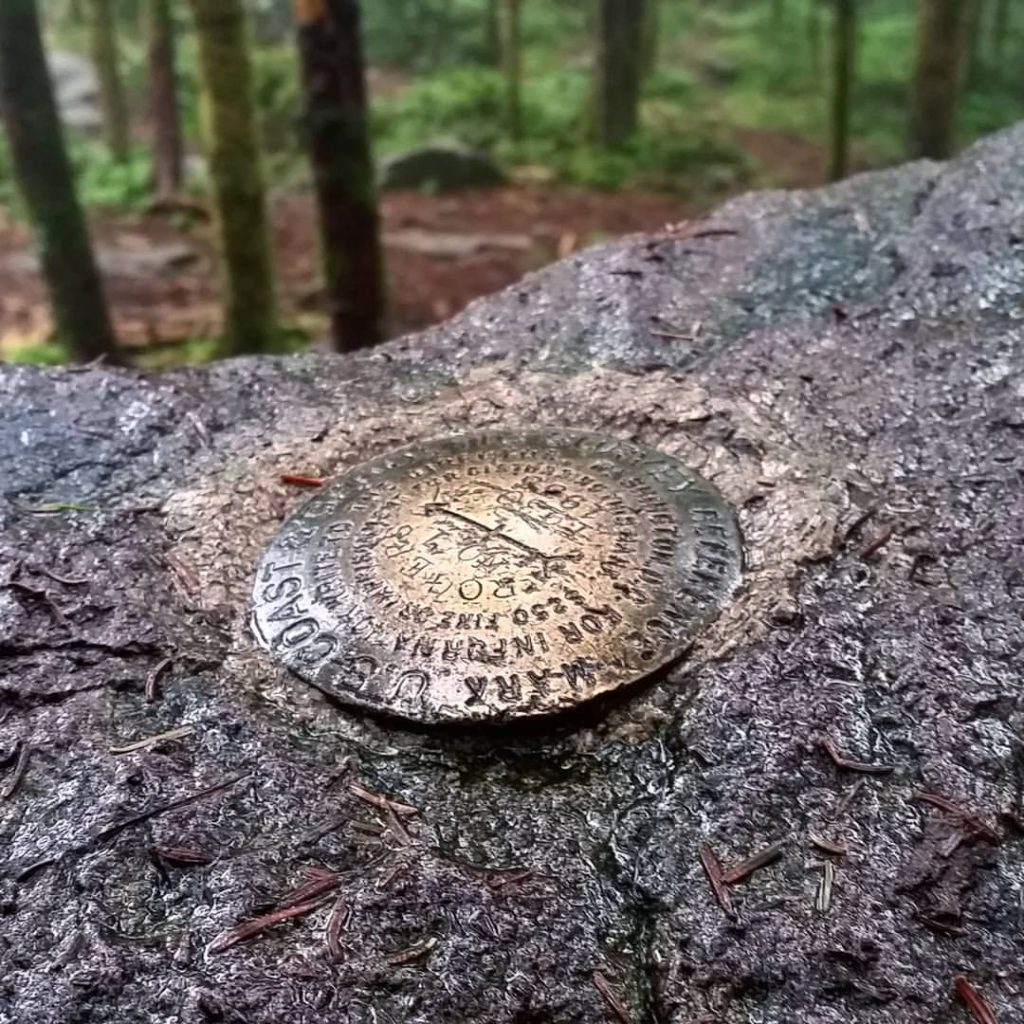 modern_day_mountain_manJust because it's the highest point until New Hampshire doesn't mean that it's all downhill from here. #AppalachianTrail2016 #yearofadventure #backpacking #whiteblazers #optoutside #mountains #nature #forest #benchmark